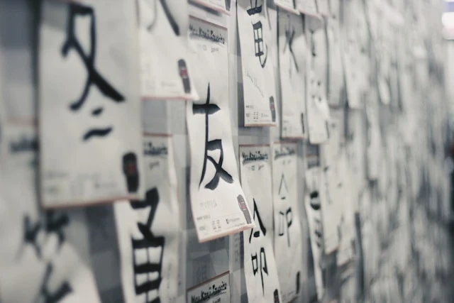 How I Learned All N5 Kanji in One Month